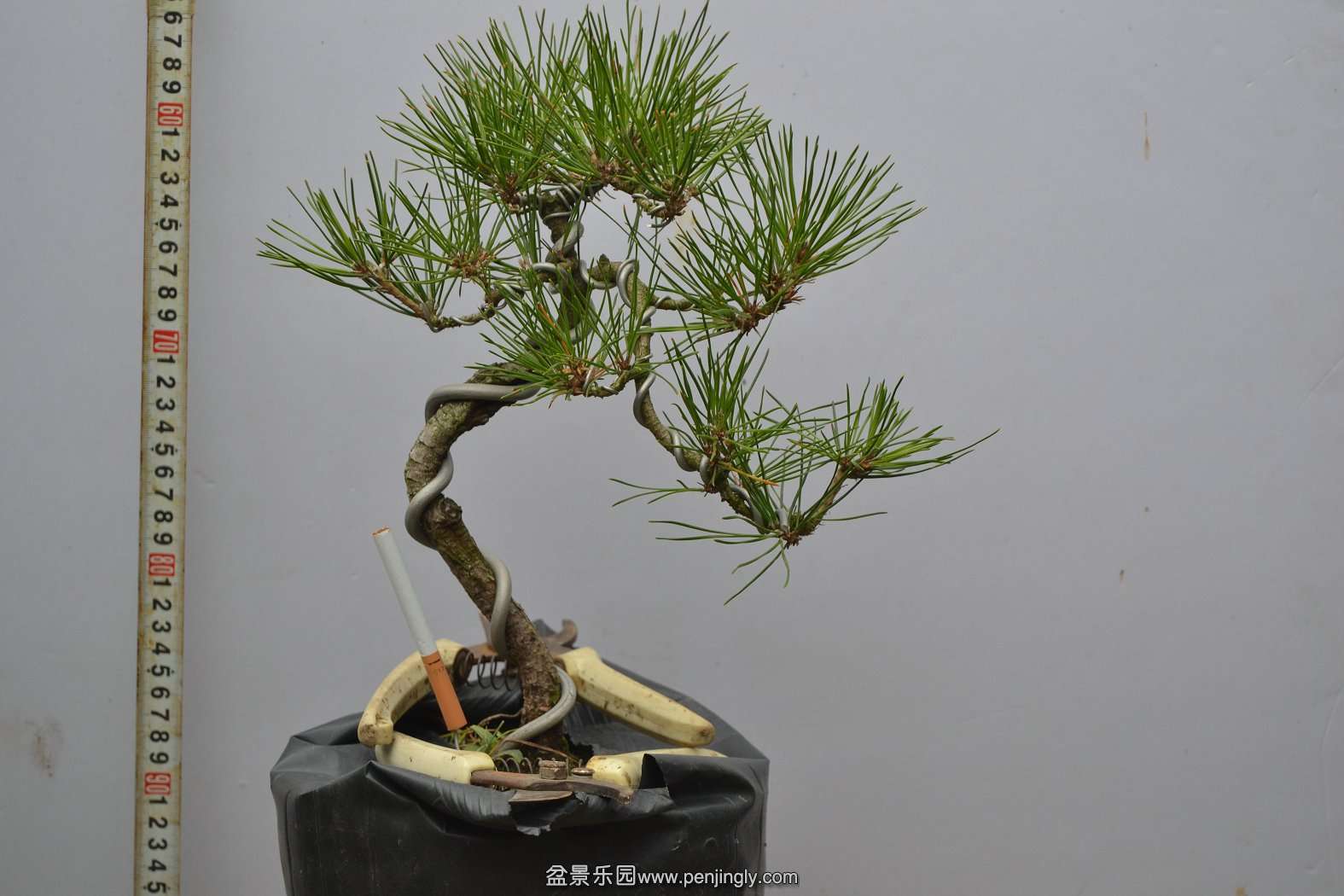 13-11-23СƷ 001.jpg