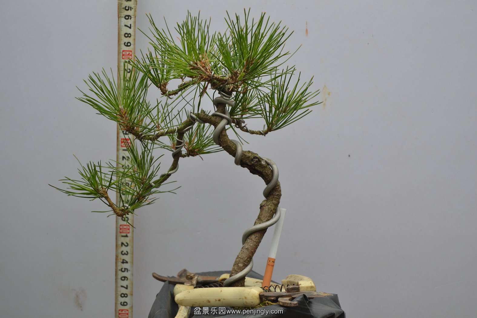 13-11-23СƷ 002.jpg