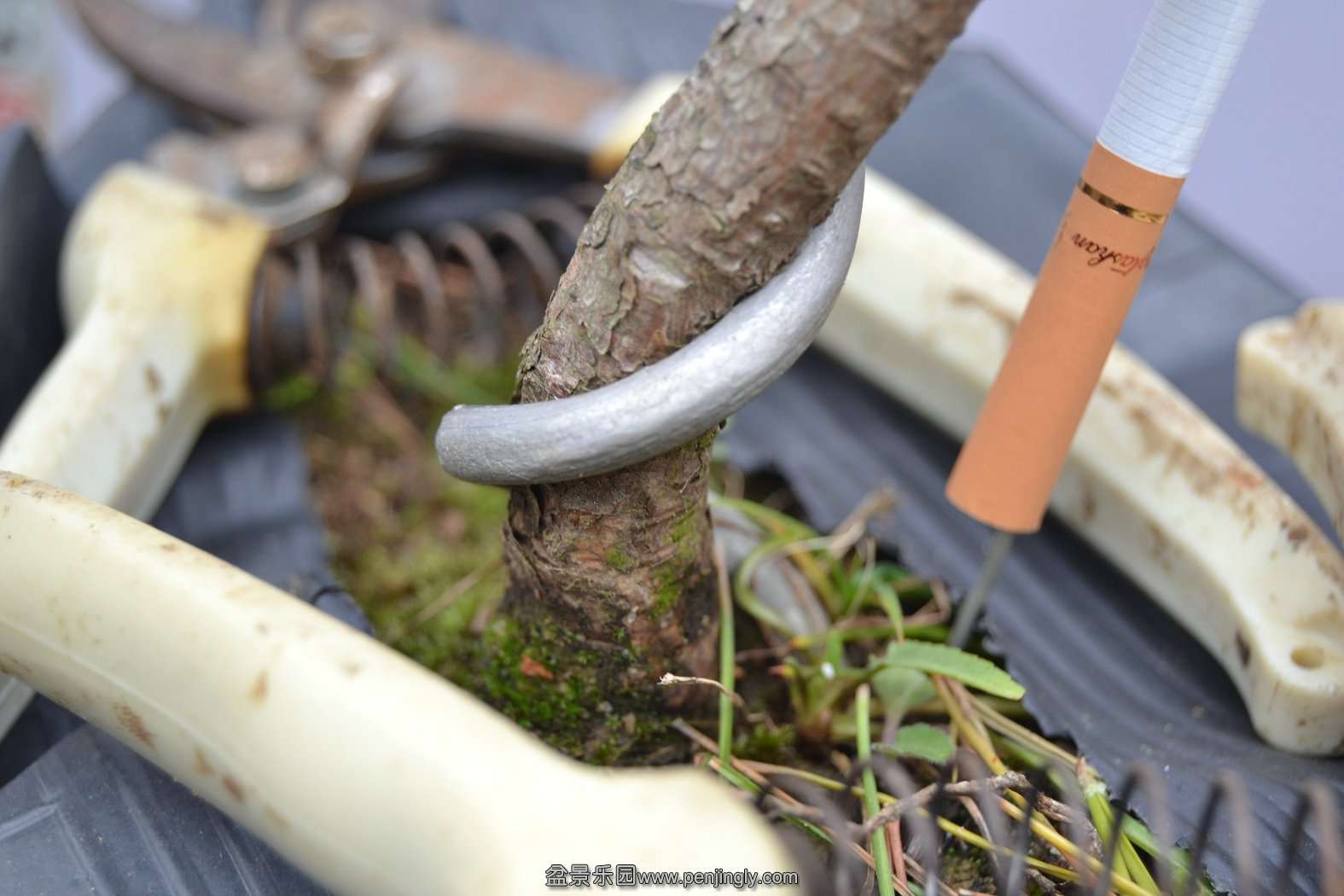 13-11-23СƷ 003.jpg