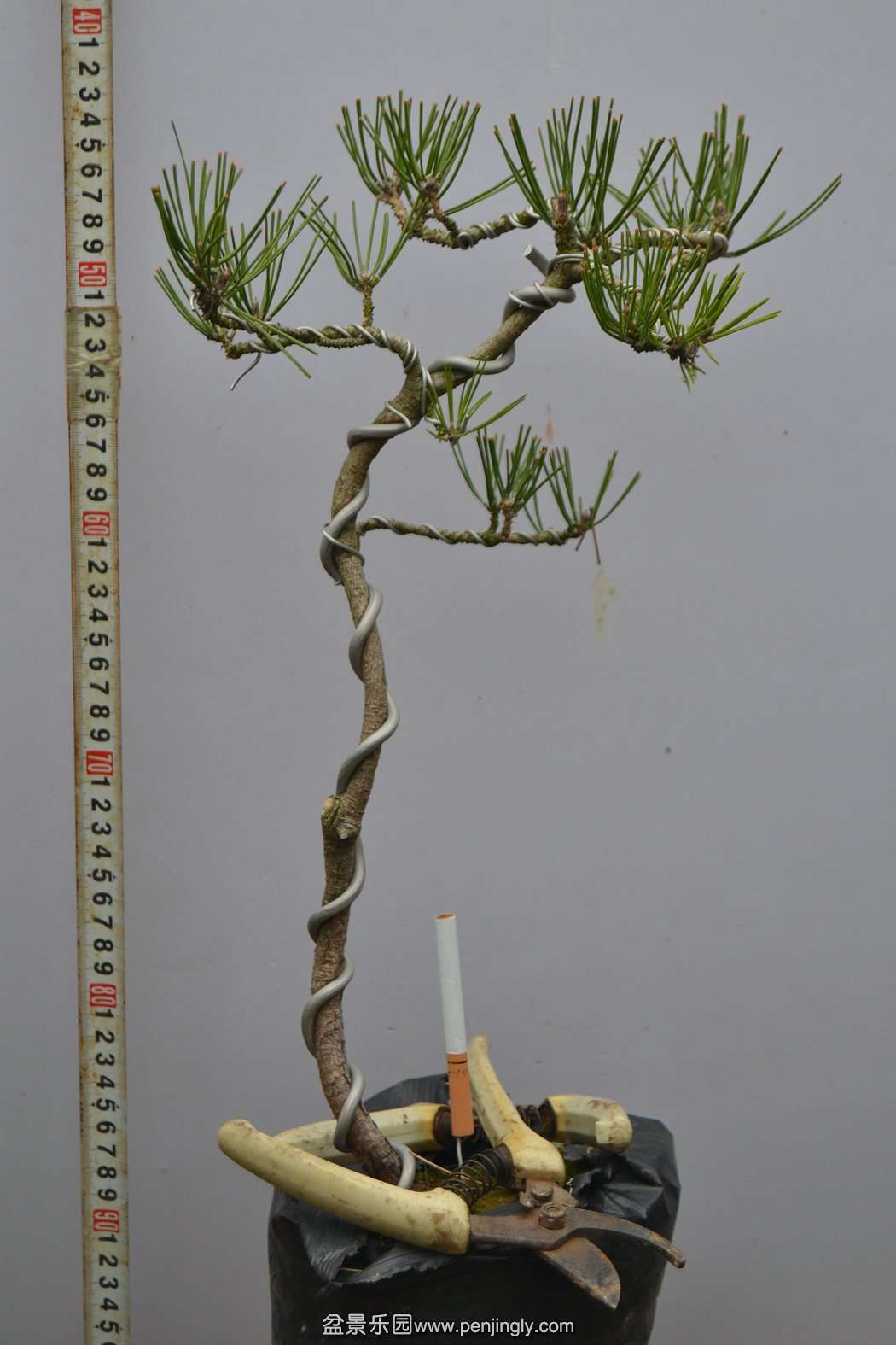 13-11-23СƷ 004.jpg