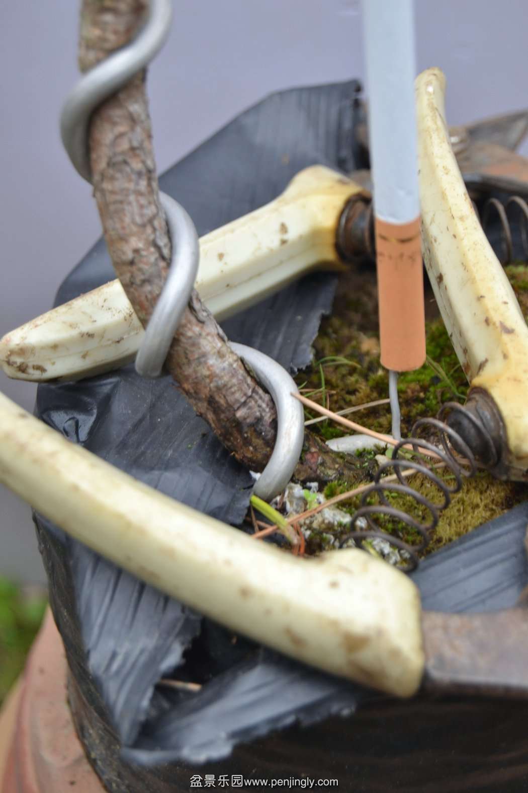 13-11-23СƷ 005.jpg