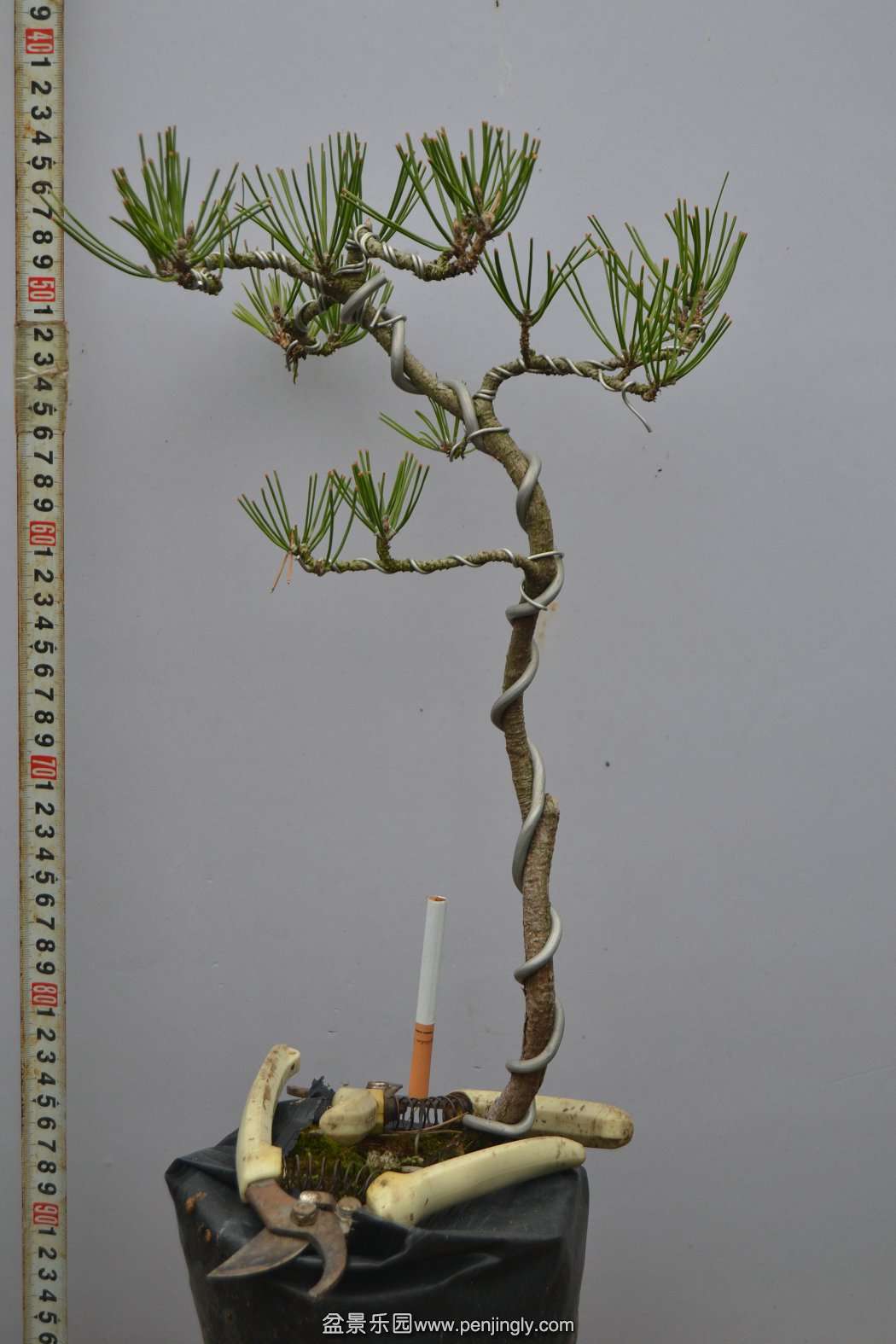 13-11-23СƷ 006.jpg