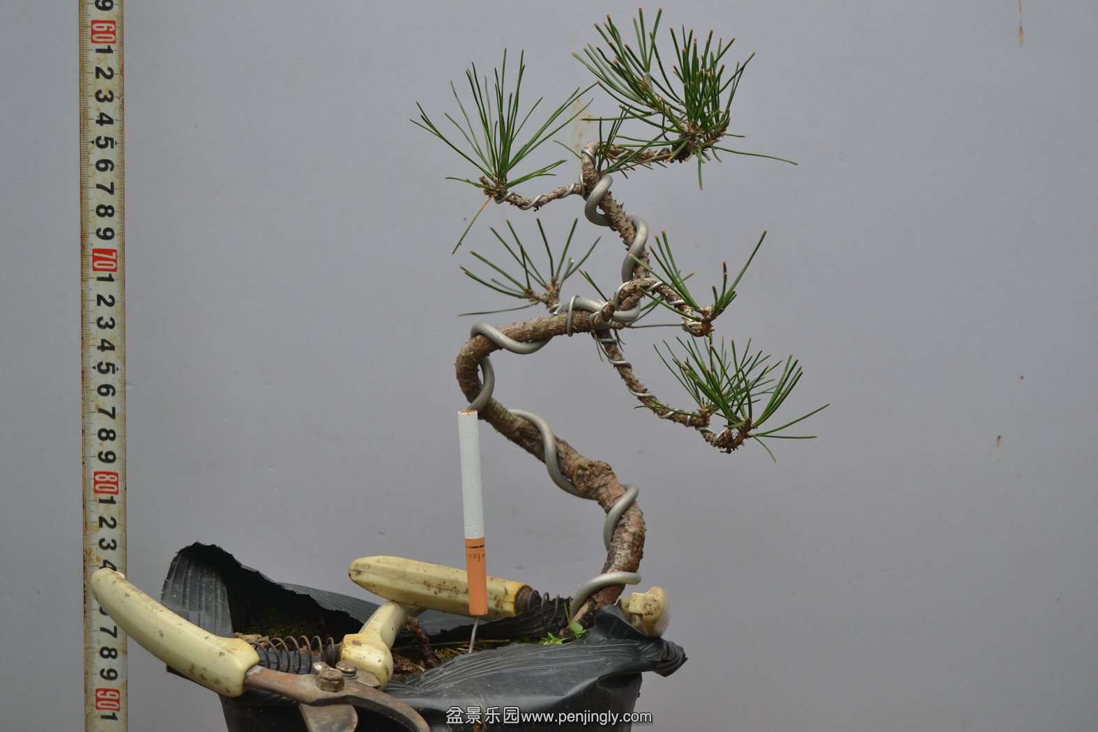 13-11-23СƷ 007.jpg