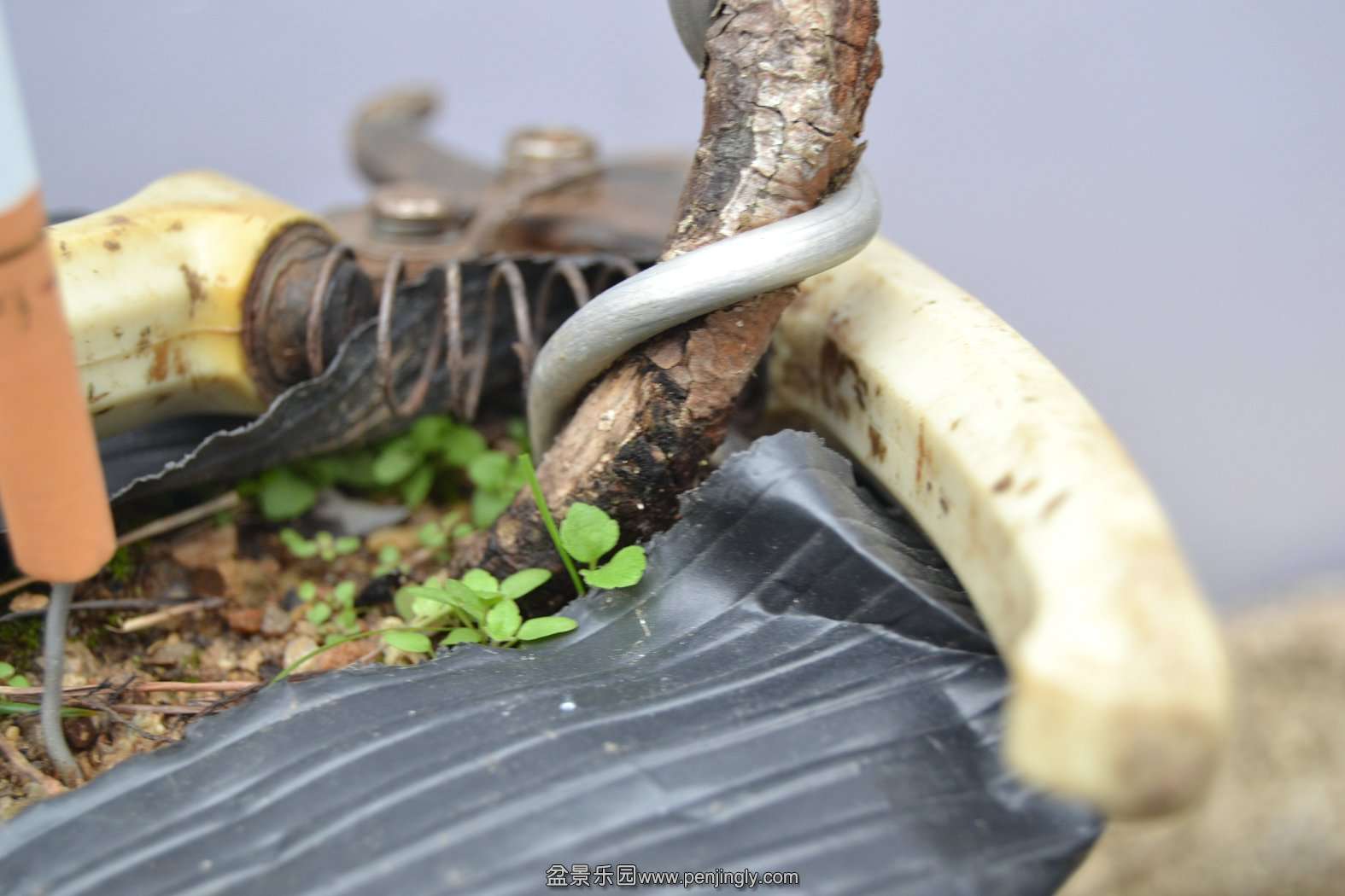 13-11-23СƷ 008.jpg