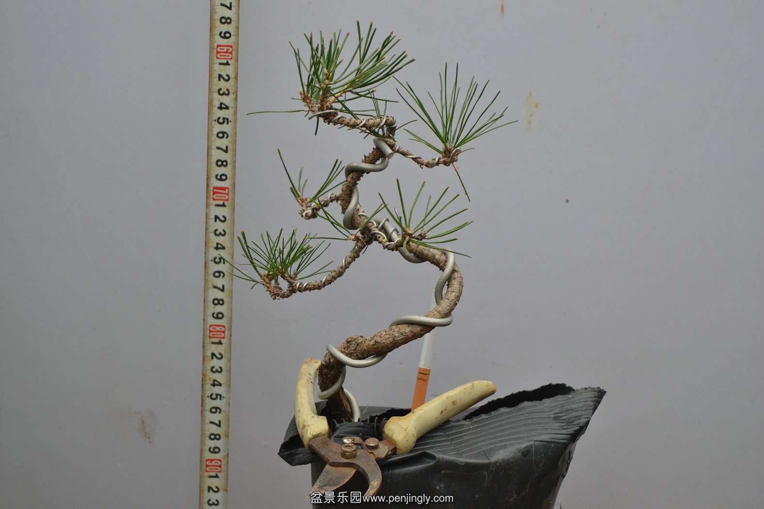 13-11-23СƷ 009.jpg