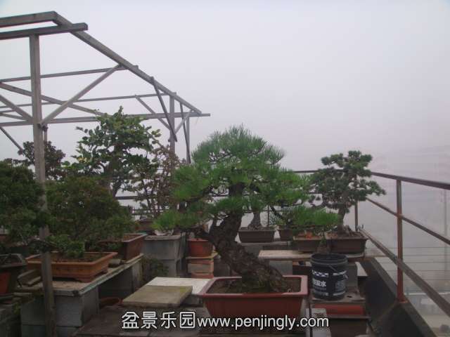 DSC04197.JPG