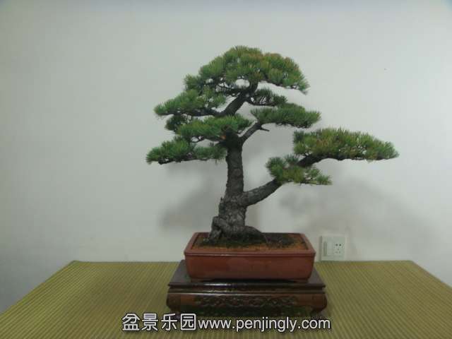 DSC04204.JPG