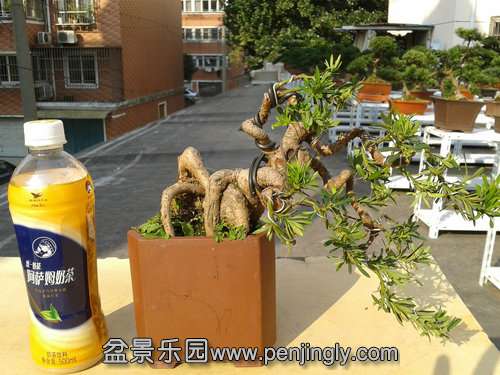 2013-11-13 13.54.44.jpg