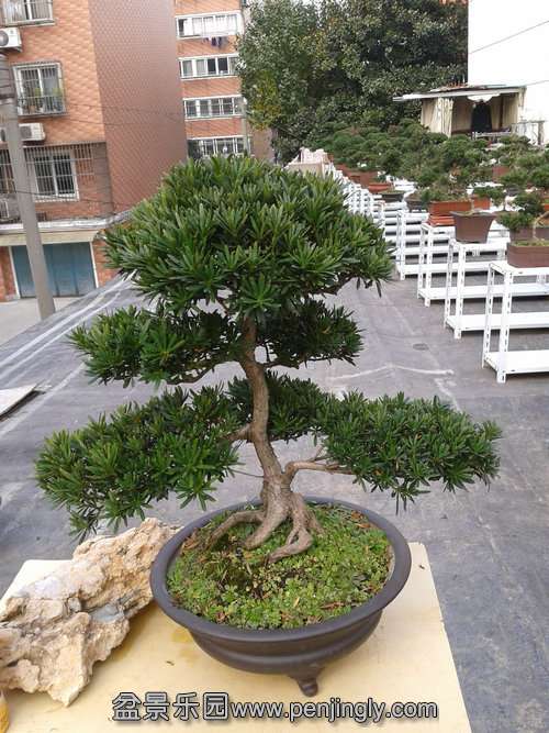 2013-11-22 13.38.07.jpg