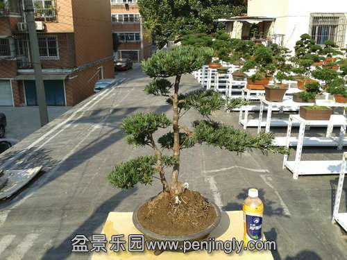 2013-11-19 13.08.20.jpg