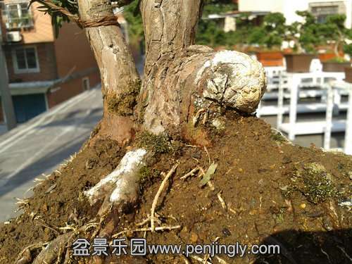 2013-11-19 13.09.11.jpg