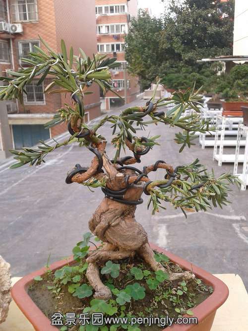 2013-11-21 13.42.13.jpg