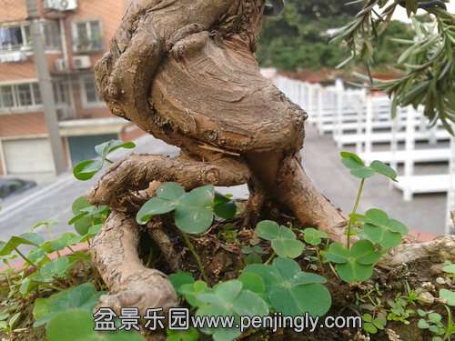 2013-11-21 13.42.24.jpg