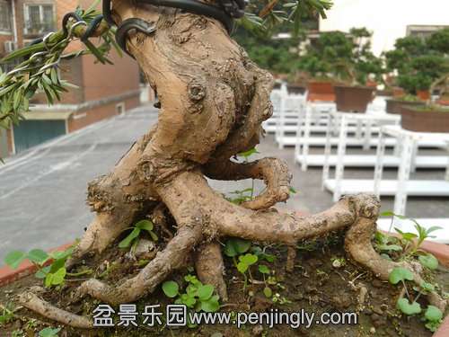 2013-11-21 13.43.03.jpg