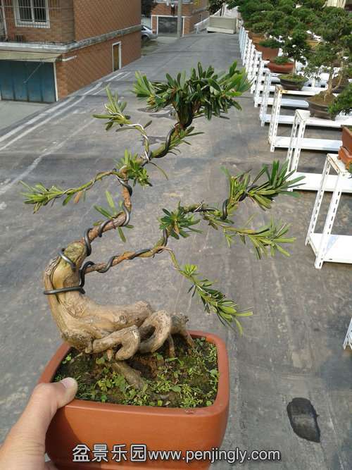 2013-11-22 13.19.21.jpg