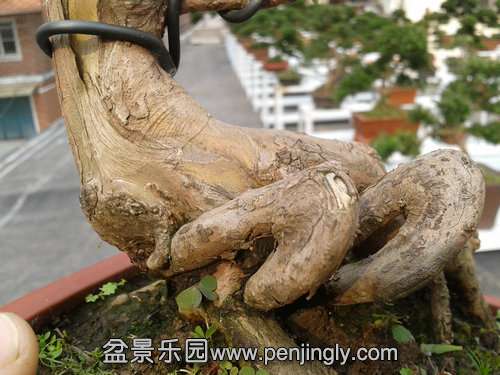 2013-11-22 13.19.42.jpg