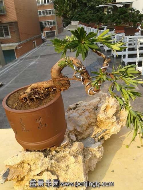 2013-11-22 14.33.47.jpg