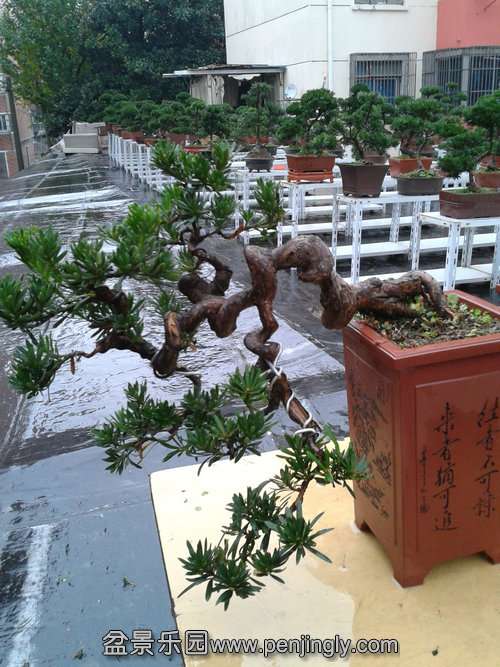 2013-11-24 14.34.26.jpg