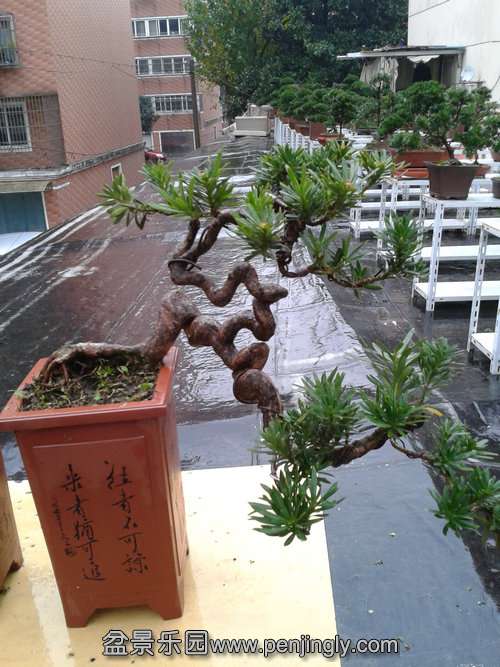 2013-11-24 14.34.49.jpg