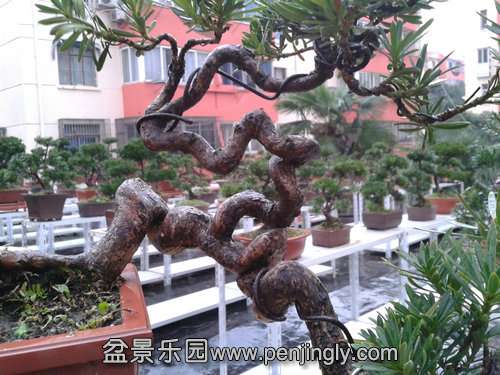 2013-11-24 14.38.03.jpg