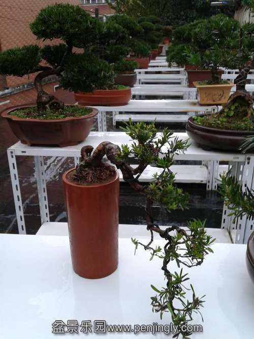 2013-11-24 14.42.56.jpg