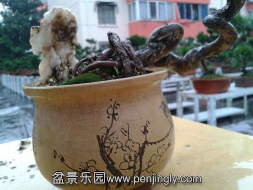 2013-11-24 14.51.35.jpg