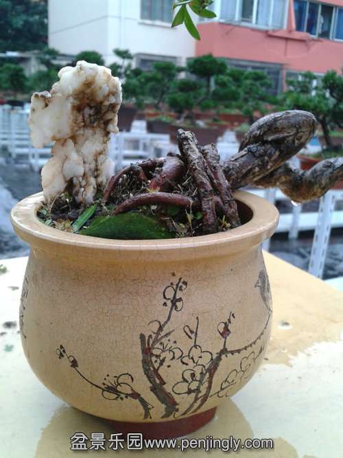 2013-11-24 14.51.44.jpg