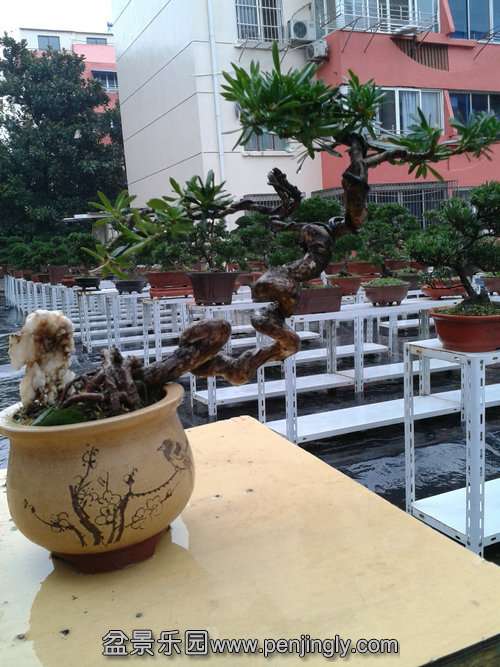 2013-11-24 14.52.02.jpg