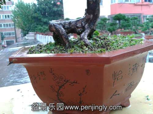 2013-11-24 15.04.02.jpg