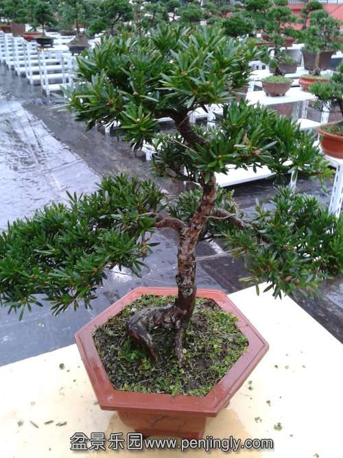 2013-11-24 15.06.42.jpg