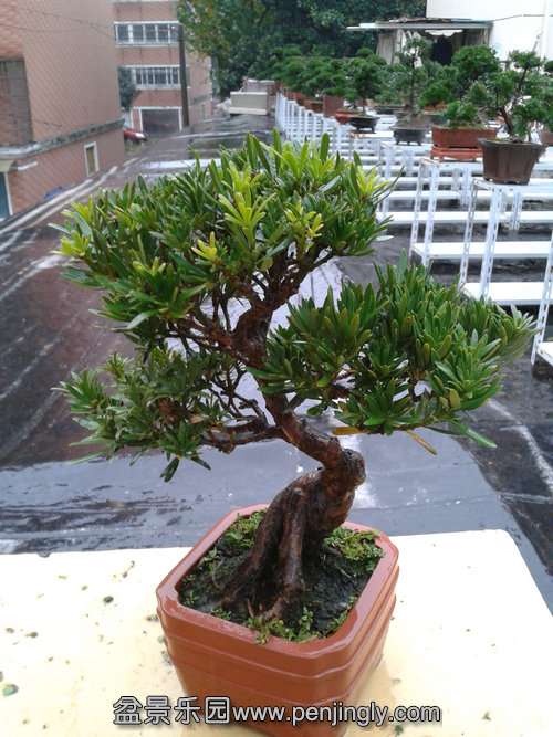 2013-11-24 15.11.28.jpg