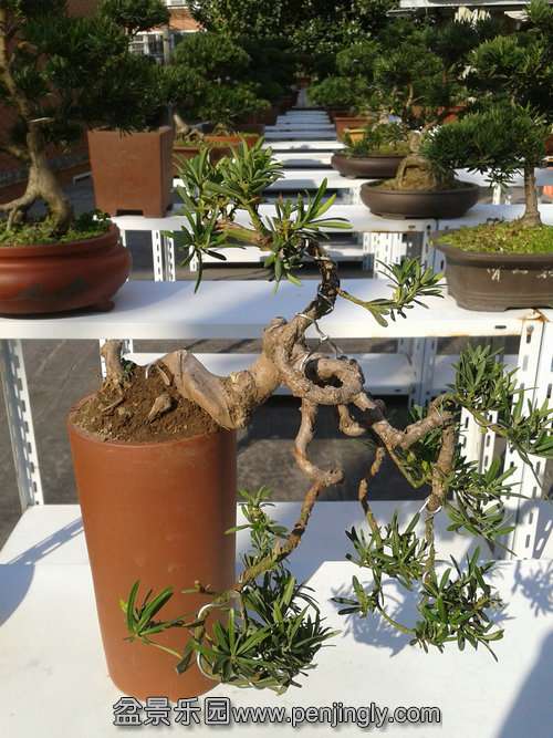 2013-11-18 13.25.16.jpg