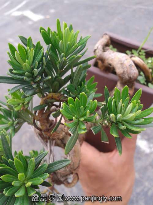 2013-06-29 14.50.25.jpg