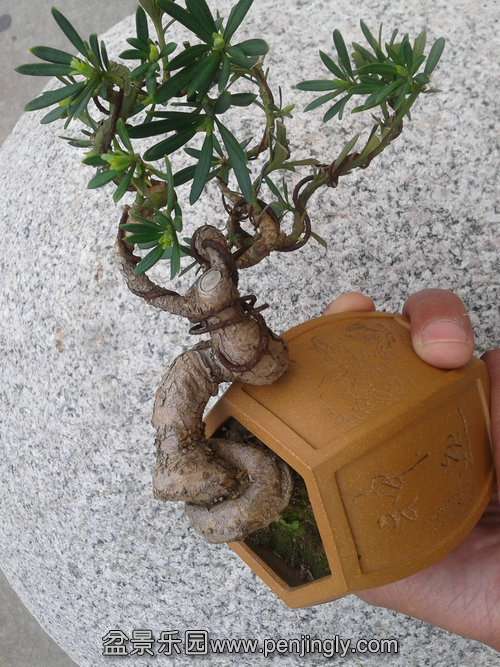 2013-04-17 17.14.53.jpg