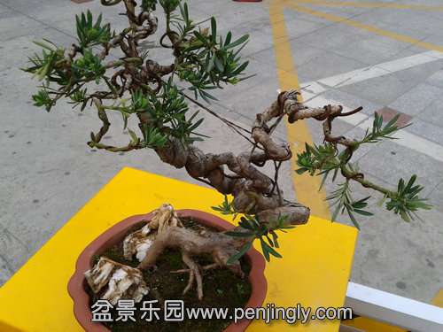 2013-04-17 17.40.30.jpg