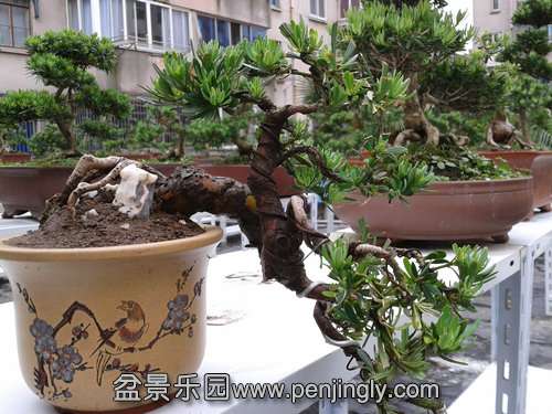 2013-05-17 13.46.24.jpg