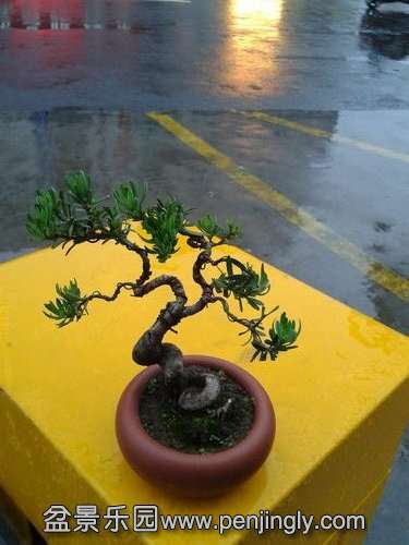 2013-05-17 17.57.08.jpg