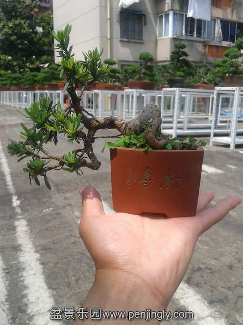 2013-05-22 13.24.53.jpg