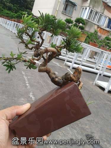 2013-06-29 14.48.27.jpg