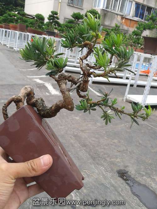 2013-06-29 14.48.50.jpg