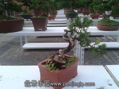 2013-07-25 18.32.54.jpg