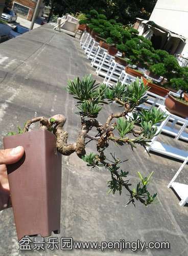 2013-07-19 14.12.21.jpg