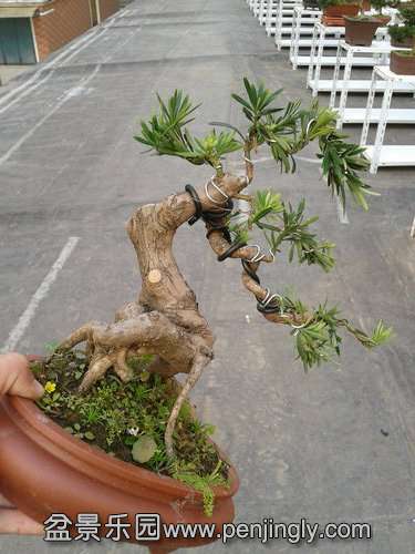 2013-11-20 14.46.33.jpg