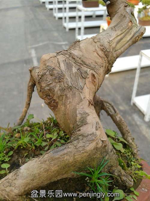 2013-11-20 14.46.55.jpg