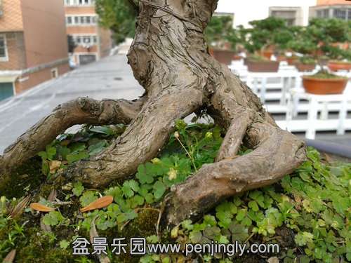 2013-11-22 13.38.28.jpg