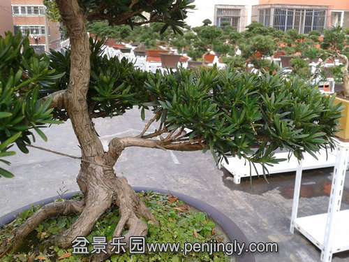 2013-11-22 13.38.48.jpg