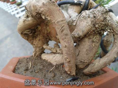 2013-11-22 13.41.55.jpg