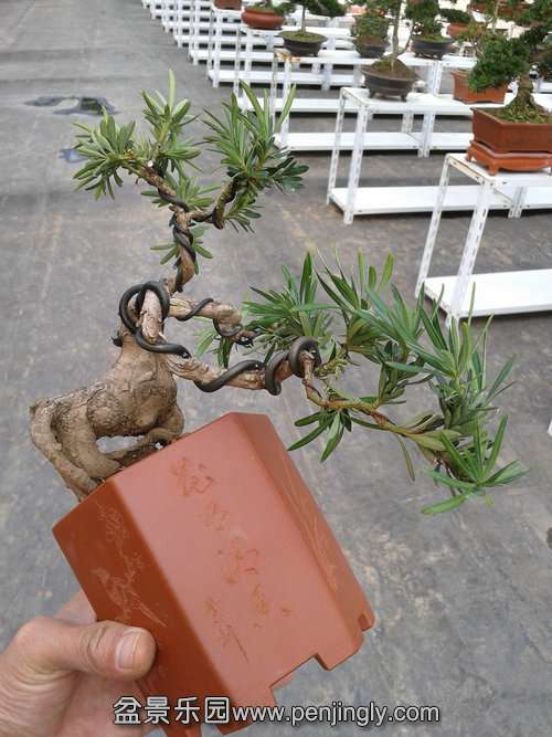 2013-11-22 13.45.24.jpg