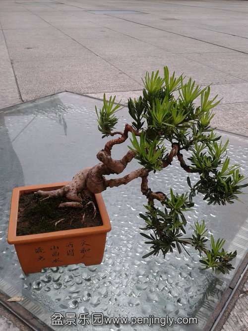 2013-09-08 17.26.07.jpg