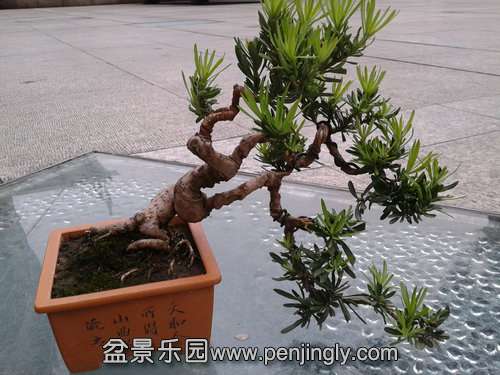 2013-09-08 17.26.28.jpg